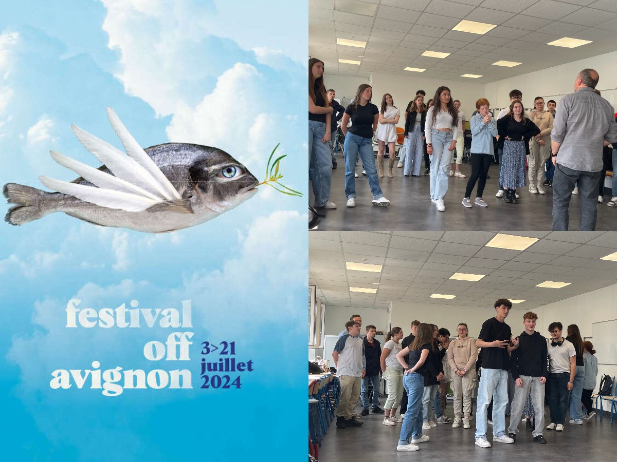 collage Avignon 1